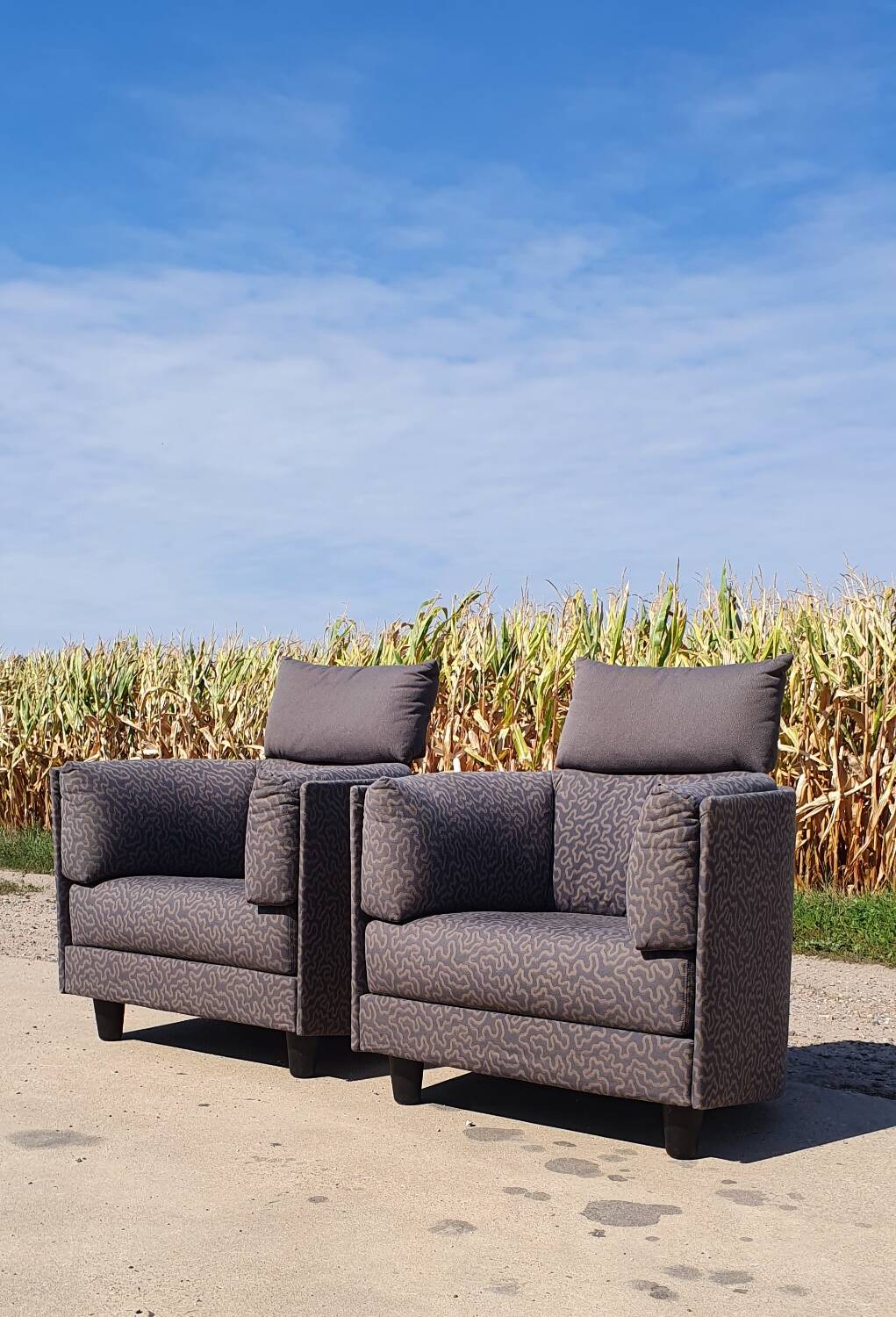 Set 2 - Design français Carina Cinna Ligne Roset