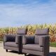Set 2 - Design français Carina Cinna Ligne Roset