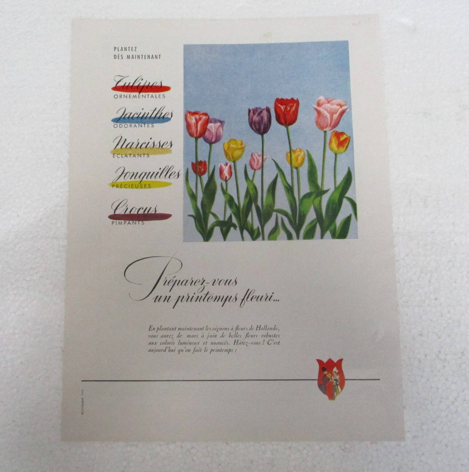 Old “Yalacta” and “Flowers of Holland” advertising from the 1950s