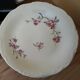 12 plates and 1 serving dish, white porcelain with apple blossom patterns.