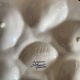 10 St Clément oyster plates