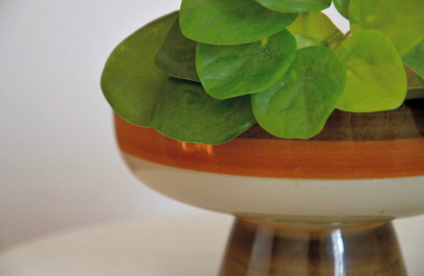 Display or empty pocket of the 70s vintage