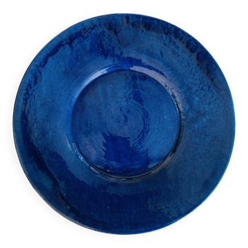 Large blue biot dish