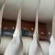 12 silver-plated metal fish cutlery pieces by Guildar, 24 pieces.