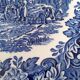 Decorative plate English ironstone