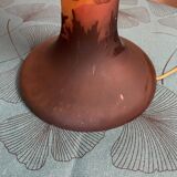 Lampe champignon anémone automne reproduction Galle