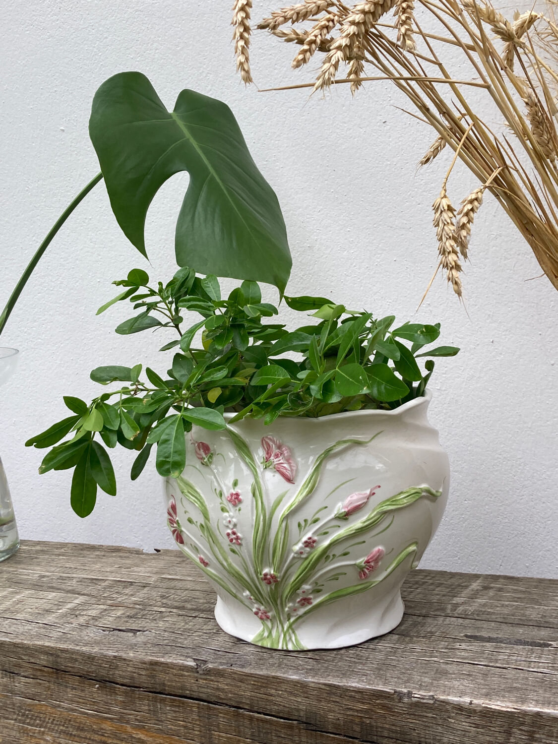 White ceramic pot cache of flower slip and old green foliage