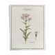 Botanical plank the Millefeuille