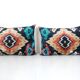Paire de coussins