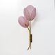 Pair of Tulips Murano Glass and Brass Sconces