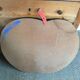 Apple shape table