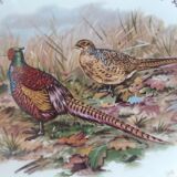 Serving dish pheasant décor