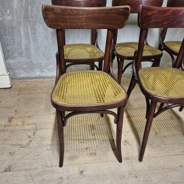 Set of 6 dining chairs, Thonet style, 1960s, Czechoslovakia