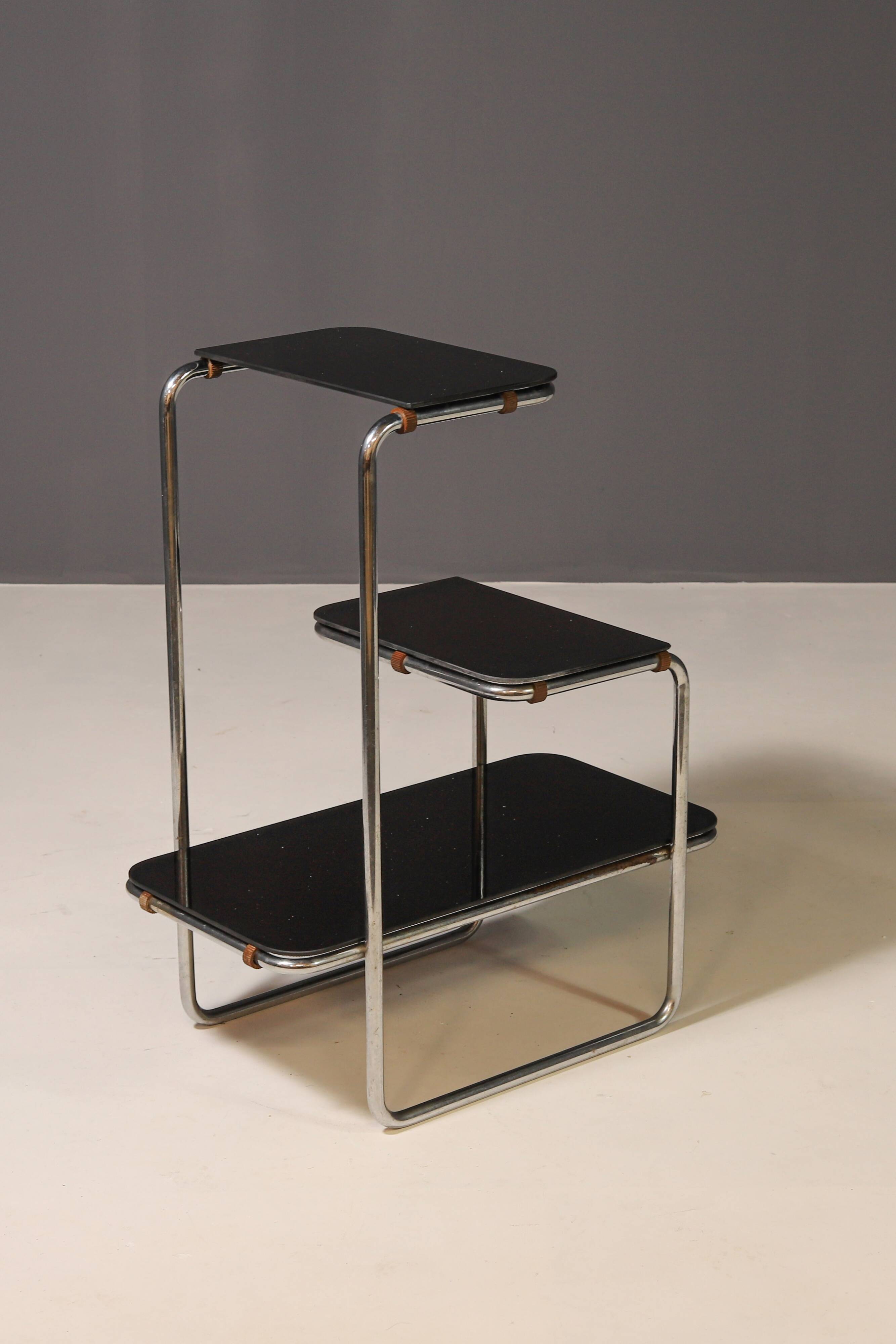 Functionalist Étagère B8 by Anton Lorenz for Slezák company, 1930s–1940s