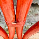 Set of 4 red rattan chairs and fabric