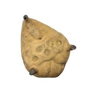 Moule à pâté en terre cuite française antique