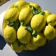 Centrepiece lemons/large fruit bowl in majolica