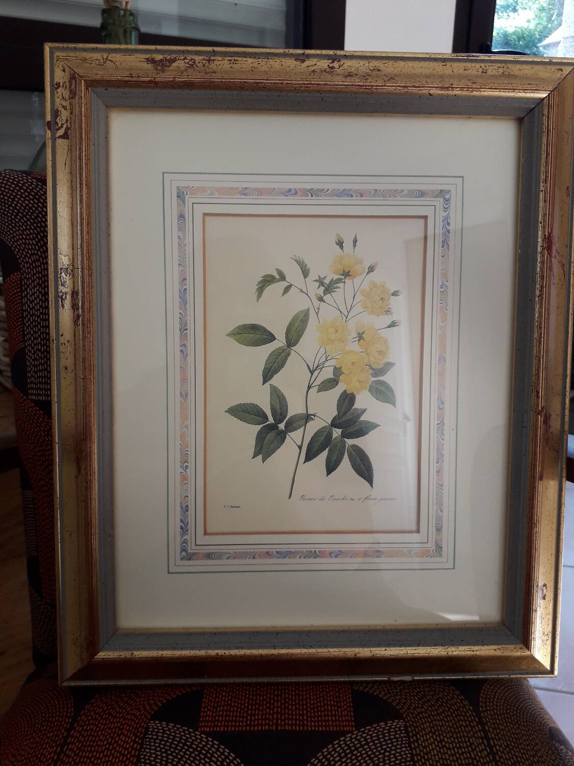 Yellow roses frame pierre jose redoute