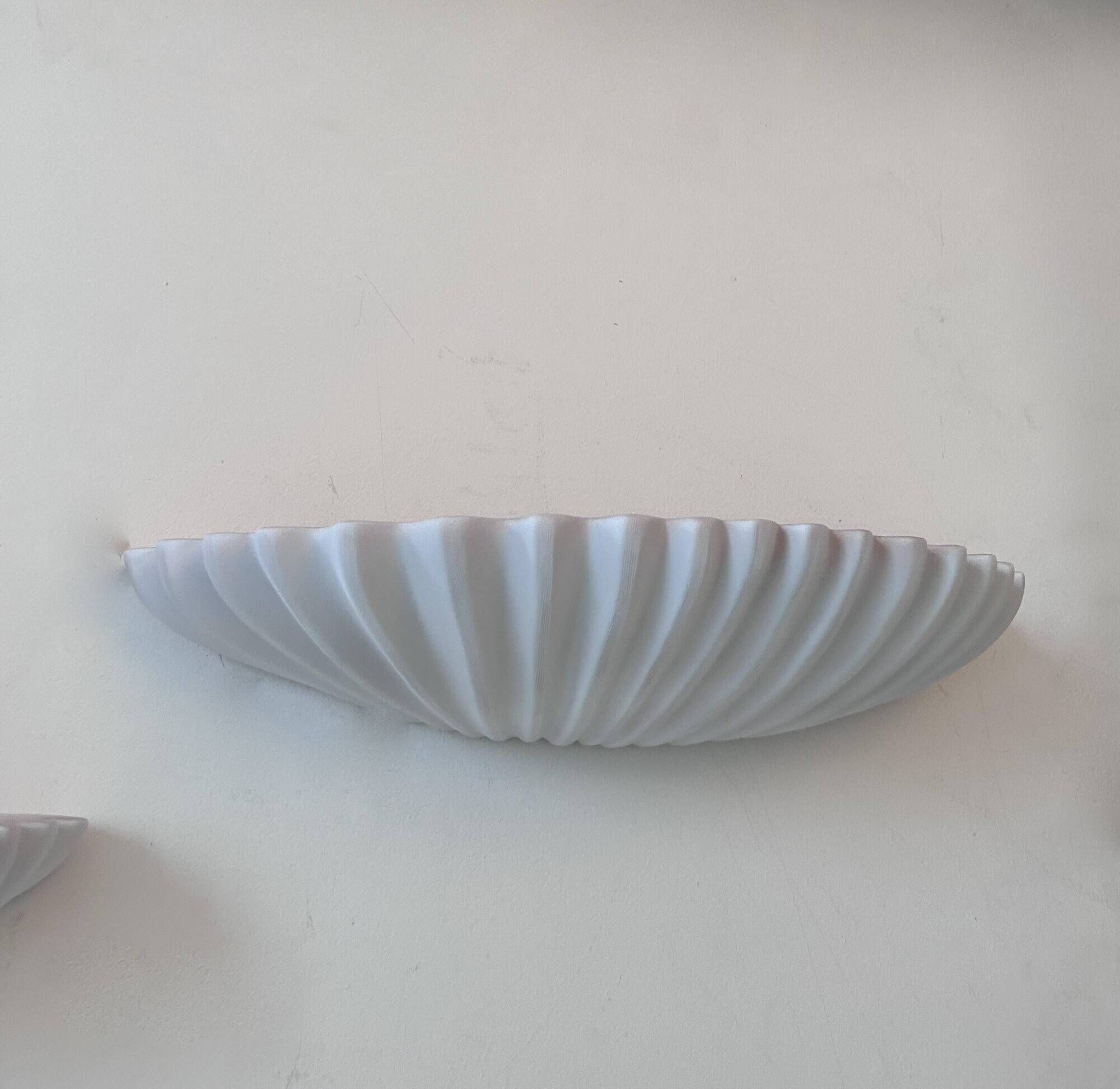 Pair of vintage shell wall lights, matte white, France 1970