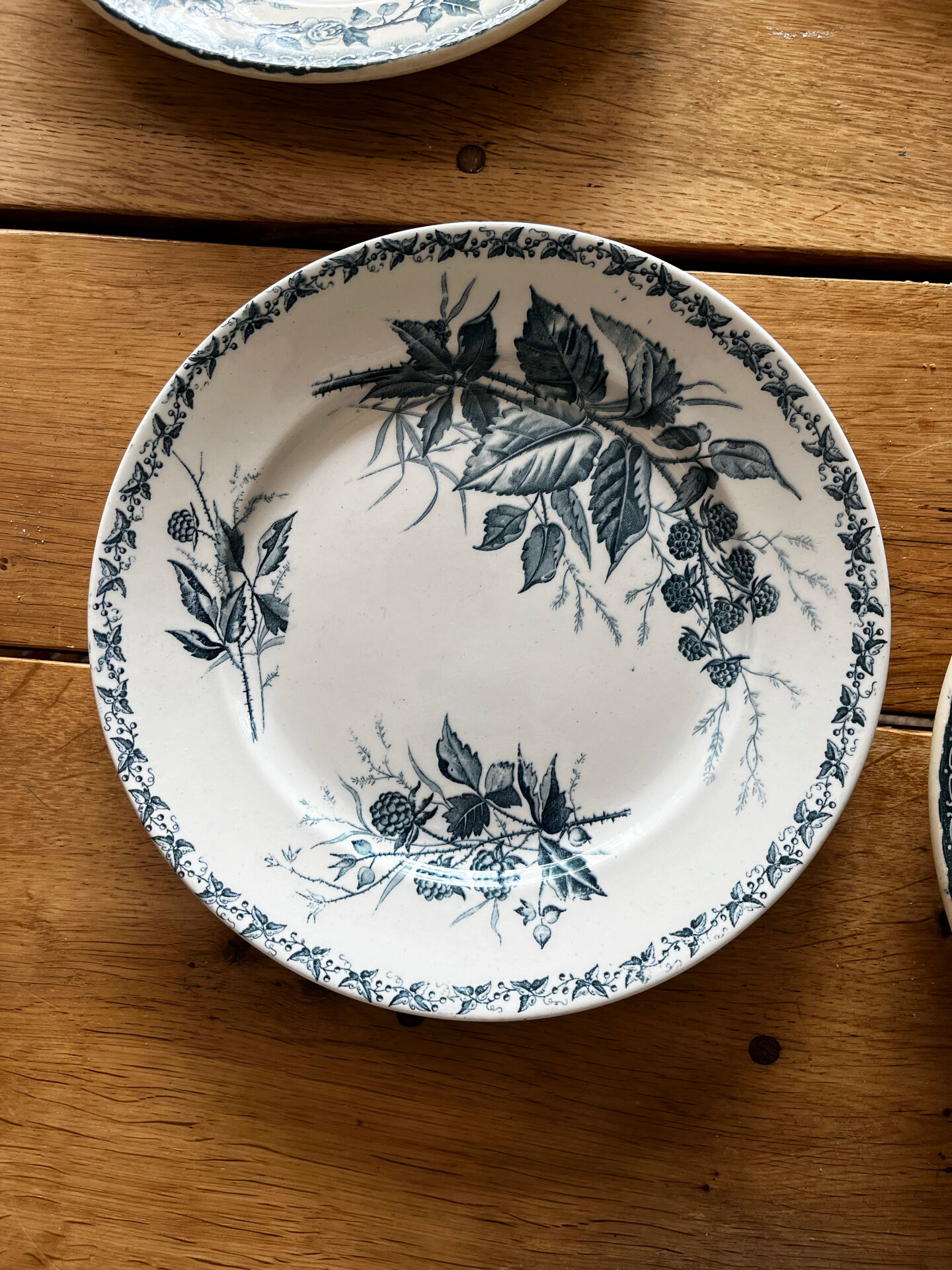6 assiettes terre de fer