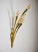 Oscar Torlasco brass wall lamp for Lumi Milano, 1950s