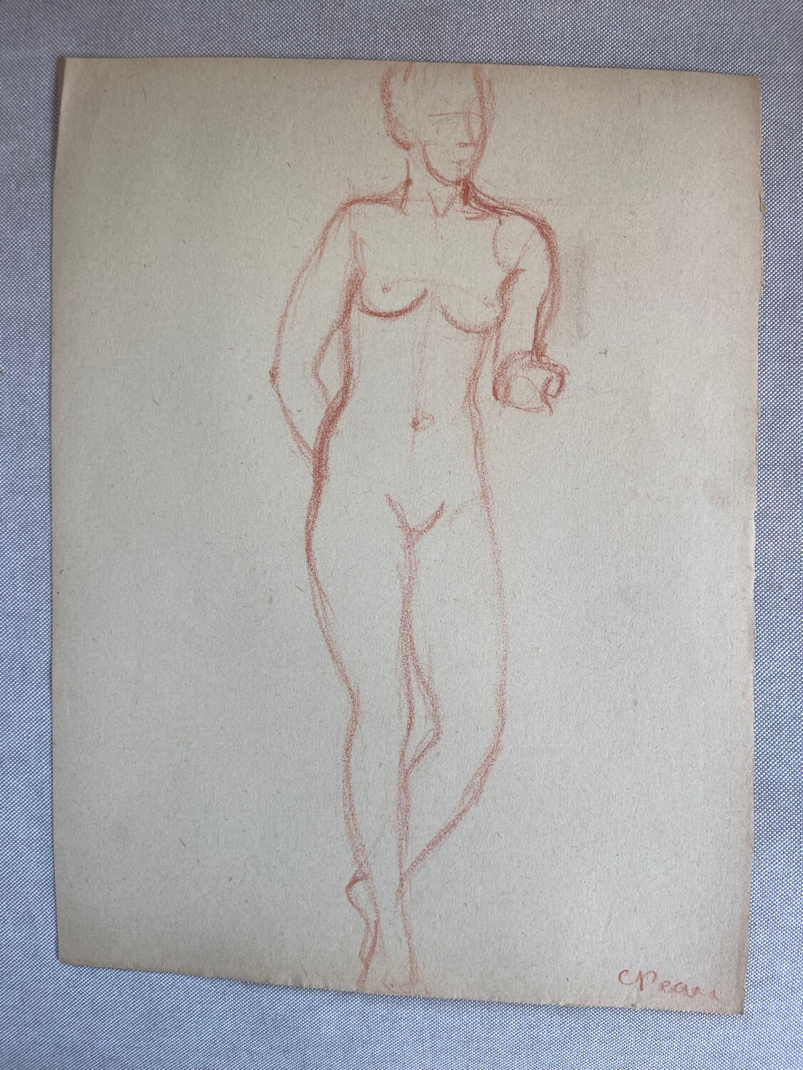 Female nude drawing