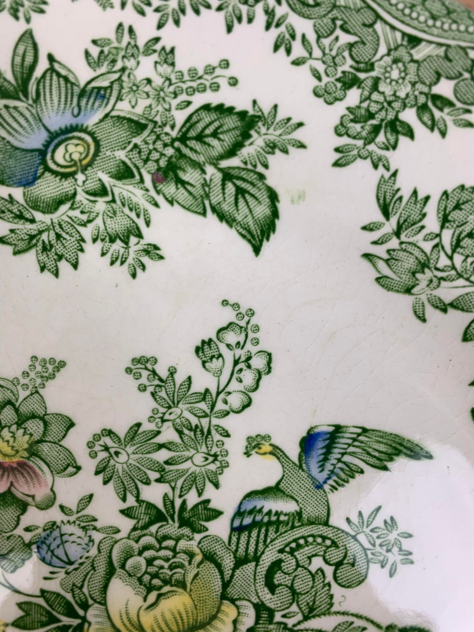 4 dessert plates Wedgwood Oriental Pheasants green