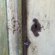 Armoire polychrome alsacienne 1800