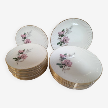 Suite of 20 Gien plates