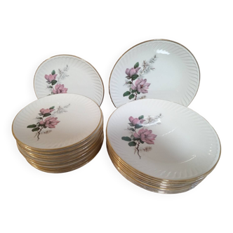 Suite of 20 Gien plates