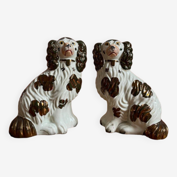 Duo de chiens Staffordshire