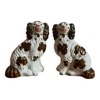 Duo de chiens Staffordshire