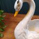 White Swan Cache Pot / Vase