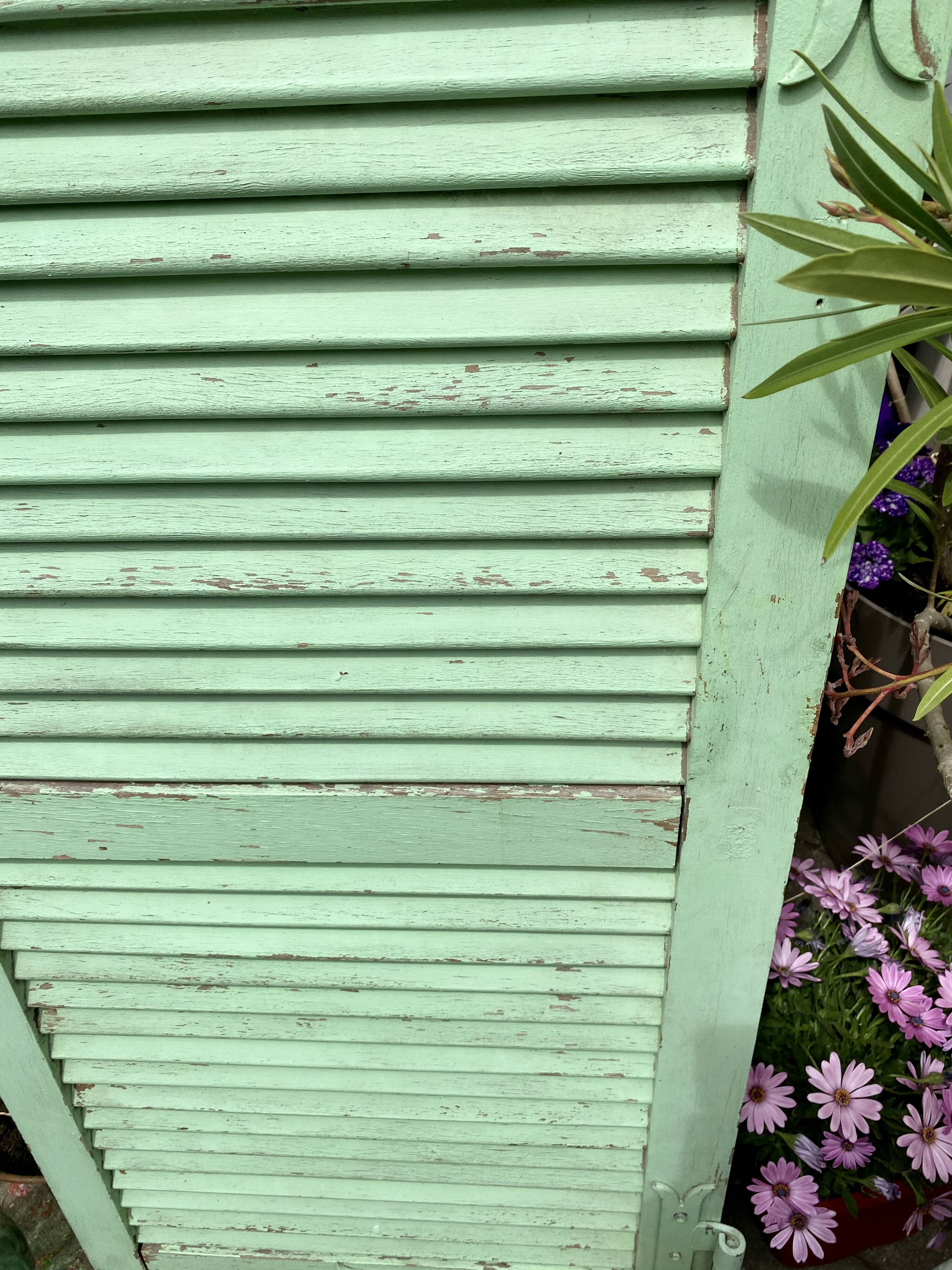 Ancient persian-coloured wood-wood mint