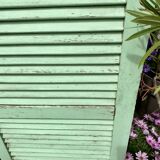 Ancient persian-coloured wood-wood mint