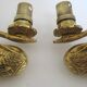 Pair of appliques swans gilded bronze patinated empire style
