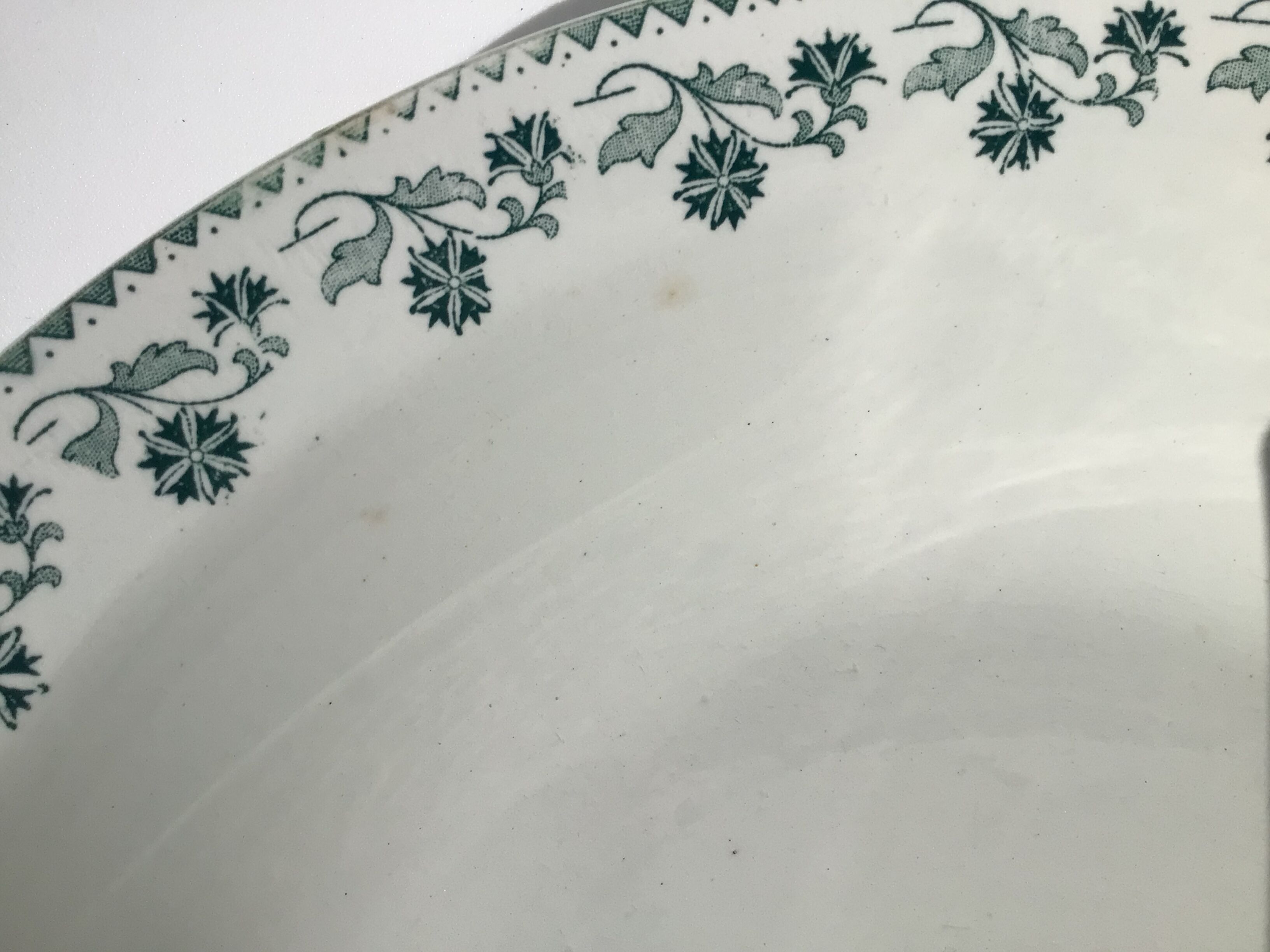 2 Plates Terre de Fer Moulin des Loups Georgette dark green diameter 28cm