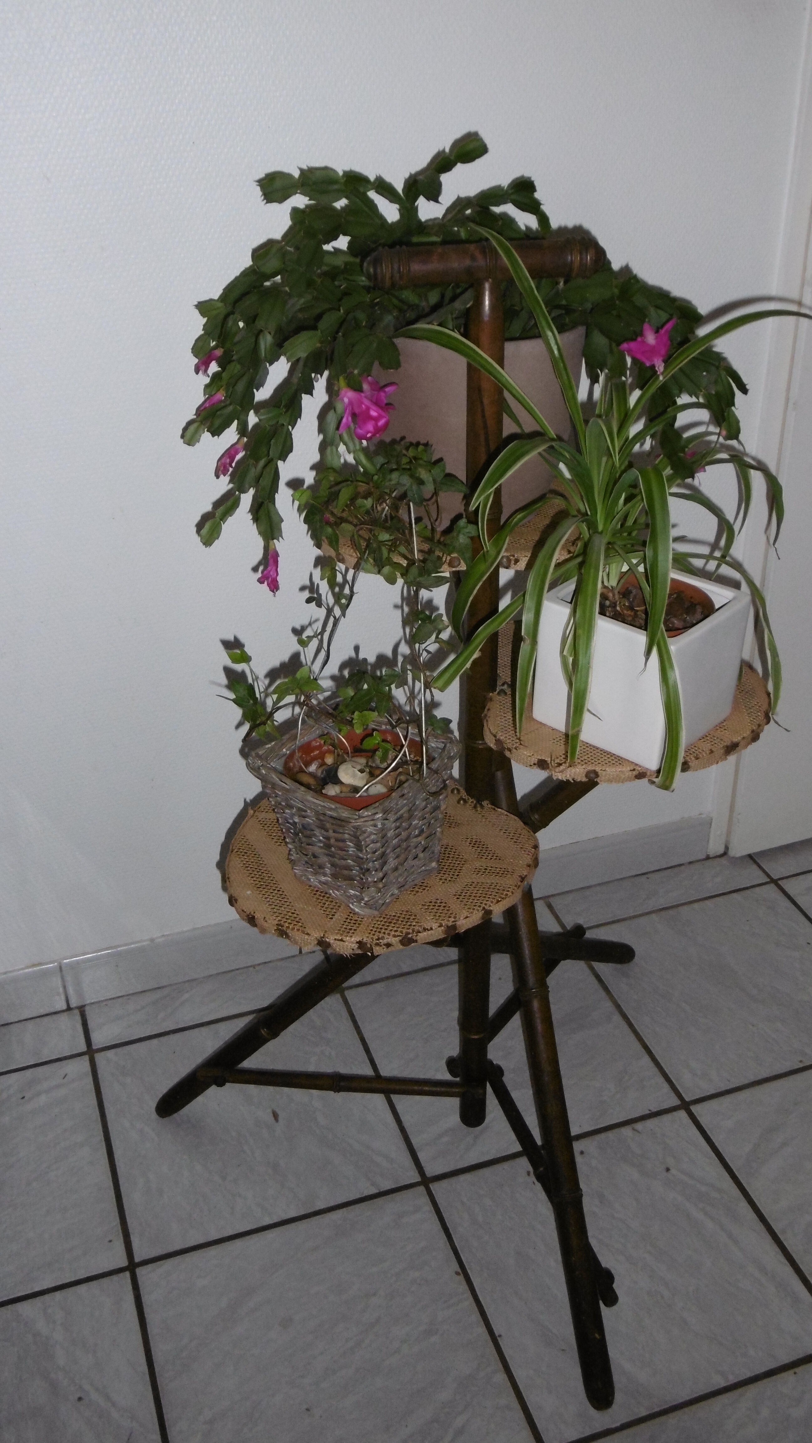 Support of 3-door plants