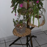 Support of 3-door plants