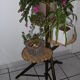 Support of 3-door plants