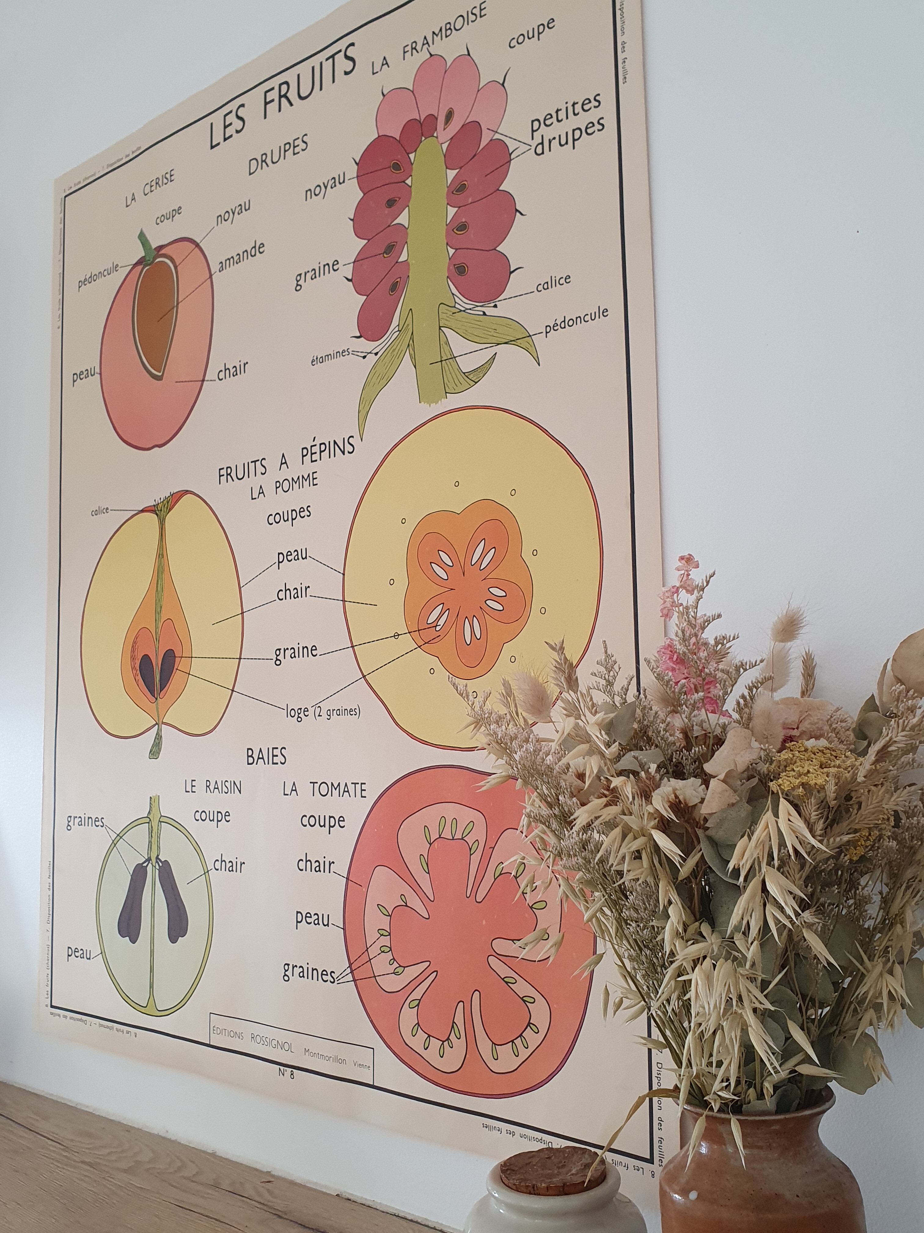 Rossignol school poster