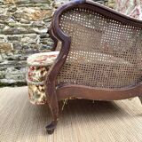 English cane and velvet armchair, Chippendale style