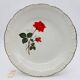 6 Vintage deep plates. Digoin & Sarreguemines, Sevigné model.