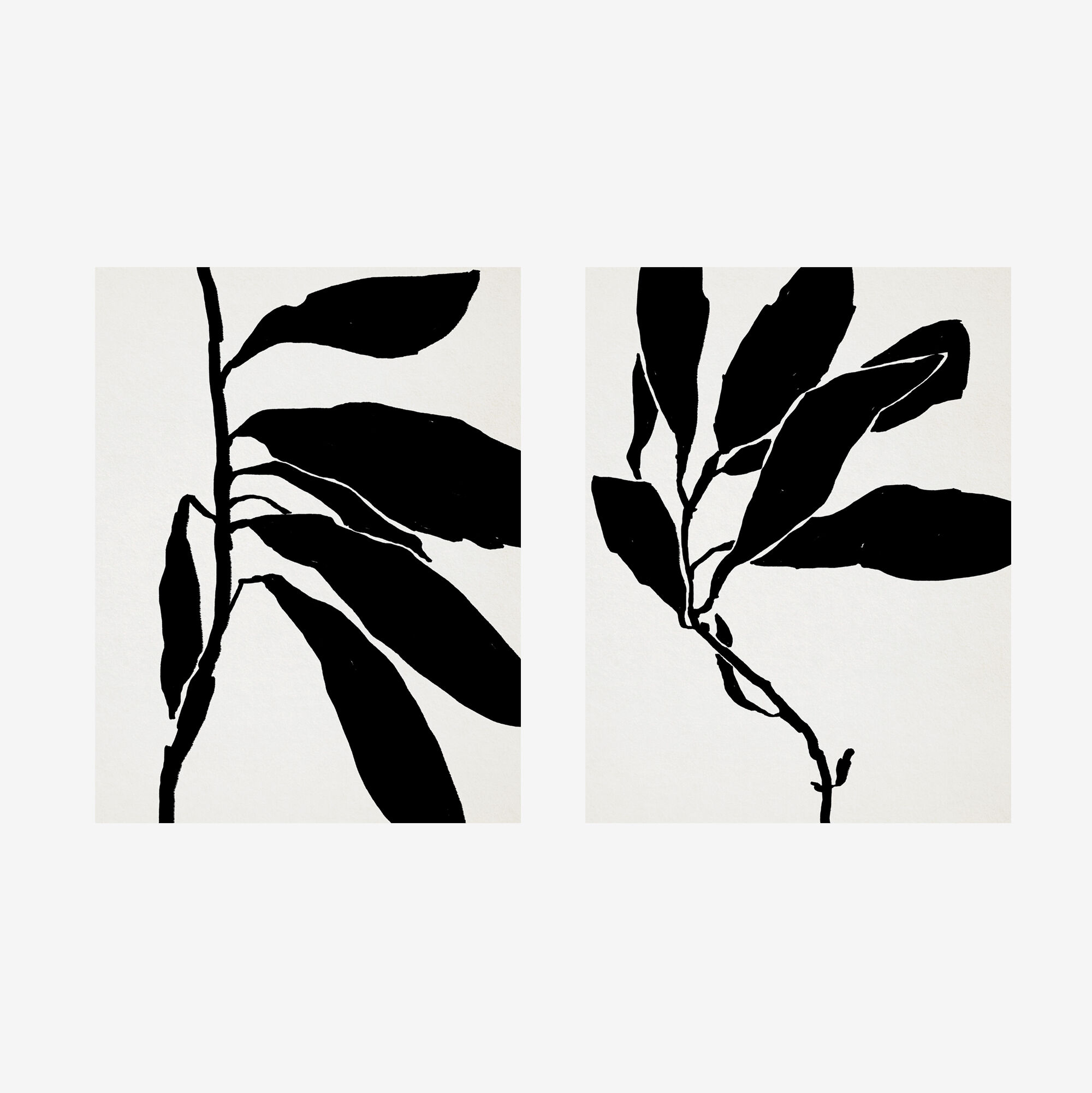 Pair of giclee prints. Botanical wall art set of two, 50x70