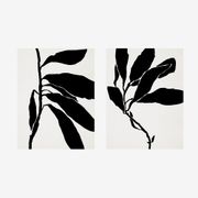 Pair of giclee prints. Botanical wall art set of two, 50x70