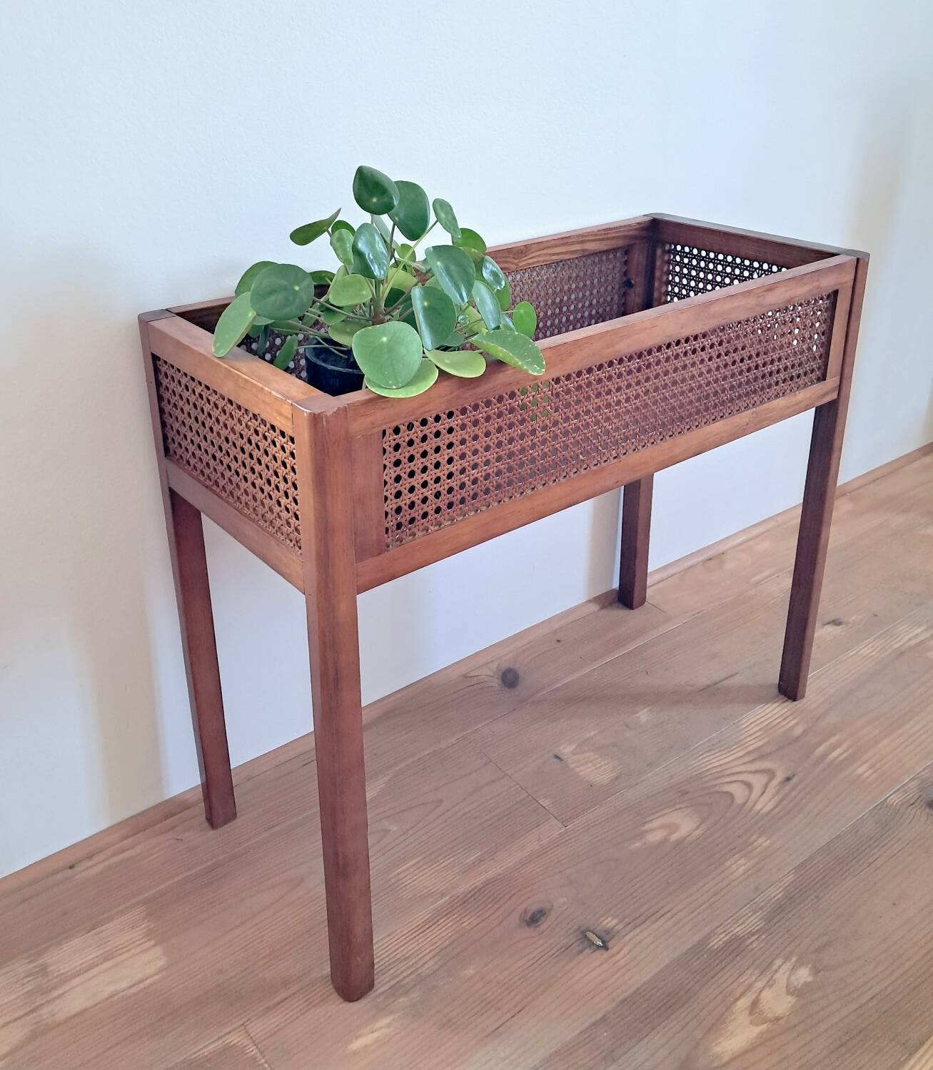 Wood and cane planter