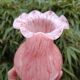 Vase Murano collerette