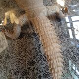Taxidermy lizard whip-tail