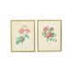 Vintage sixties roses framed botanical print cards p.j. redoute 42x32cm