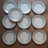Flat plates Limoges